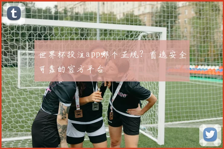 世界杯投注app哪个正规？首选安全可靠的官方平台