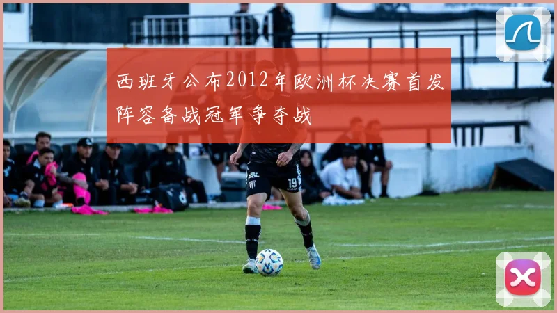 西班牙公布2012年欧洲杯决赛首发阵容备战冠军争夺战
