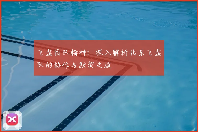 飞盘团队精神:深入解析北京飞盘队的协作与默契之道