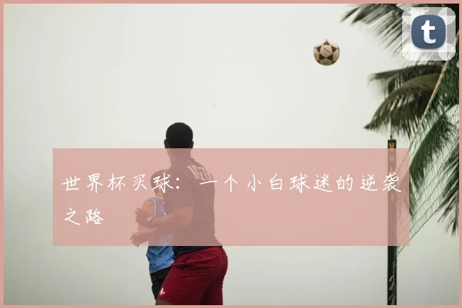 世界杯买球：一个小白球迷的逆袭之路
