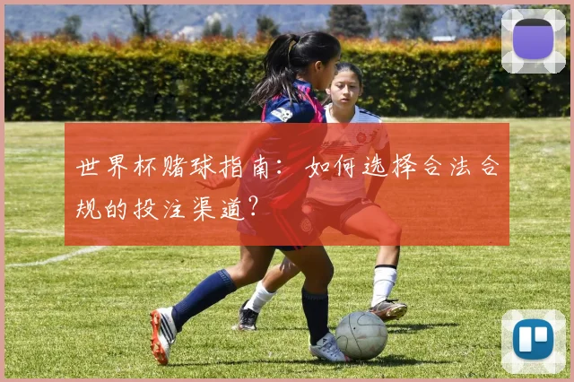 世界杯赌球指南：如何选择合法合规的投注渠道？