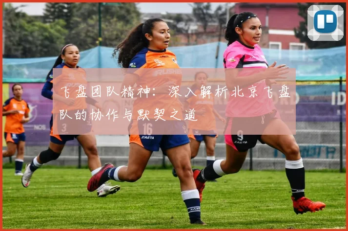 飞盘团队精神：深入解析北京飞盘队的协作与默契之道