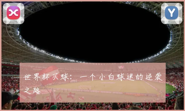 世界杯买球：一个小白球迷的逆袭之路