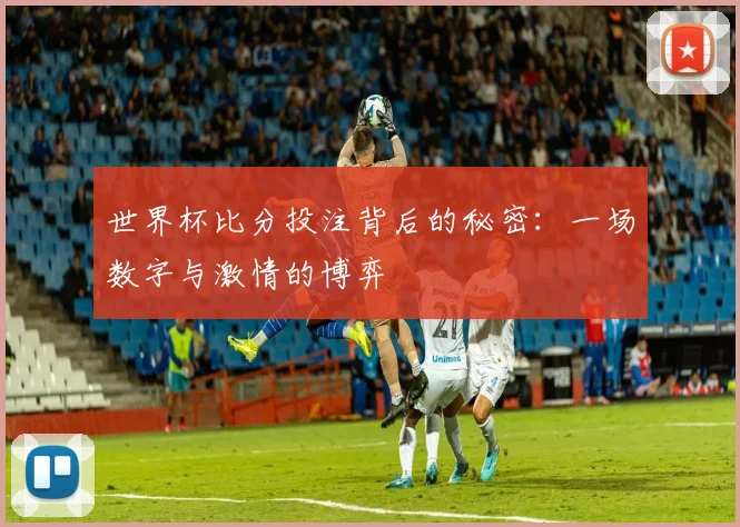 世界杯比分投注背后的秘密：一场数字与激情的博弈