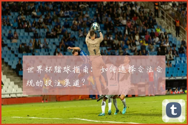 世界杯赌球指南:如何选择合法合规的投注渠道?