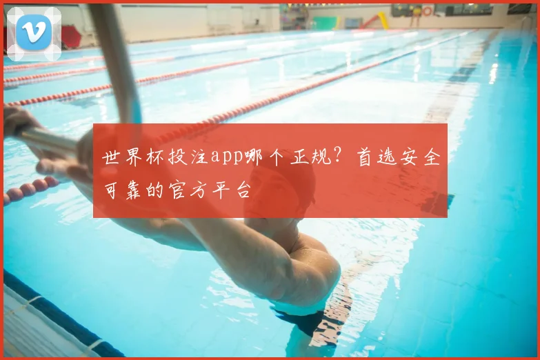 世界杯投注app哪个正规？首选安全可靠的官方平台