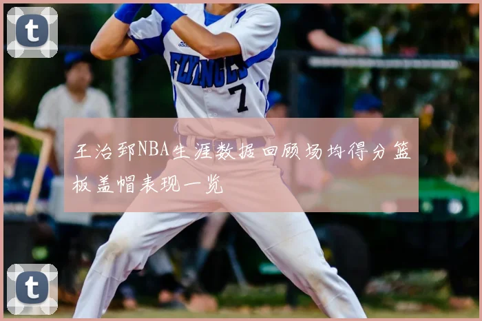 王治郅NBA生涯数据回顾场均得分篮板盖帽表现一览